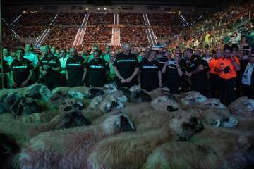 Encuentro Cumbre de mi Gran Canaria (Foto TA y Antonio  Alí)