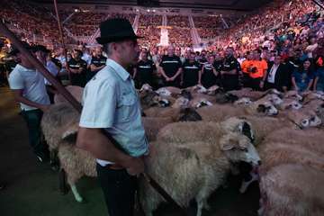 Encuentro Cumbre de mi Gran Canaria (Foto TA y Antonio  Alí)