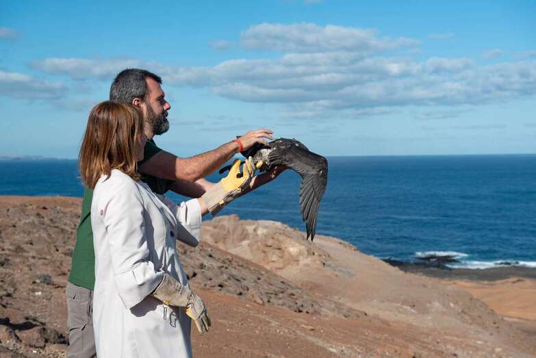 El Cabildo libera en Las Coloradas cinco aves curadas (Foto TA)