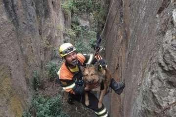 Rescate de película de un perro en el norte de de Gran Canaria (Foto Grupo Delta de Agaete)