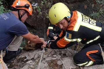 Rescate de película de un perro en el norte de de Gran Canaria (Foto Grupo Delta de Agaete)