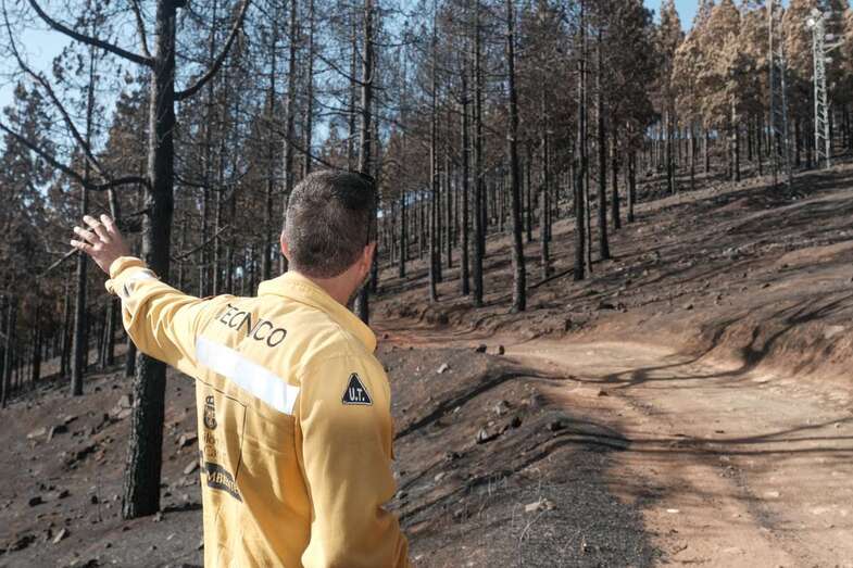 Los municipios podrán contratar personal para limpieza y restauración de los terrenos (Foto TA)