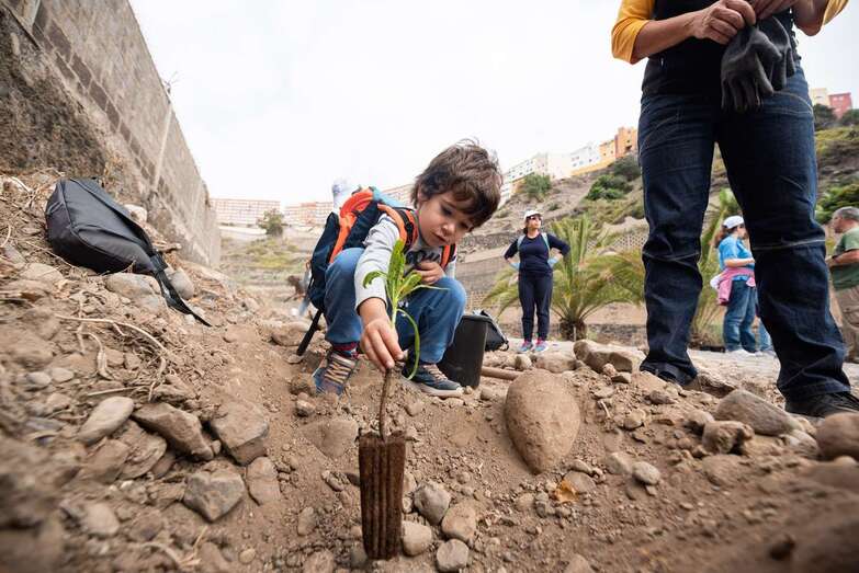 Un pequeño plantando un árbol (Foto TA)