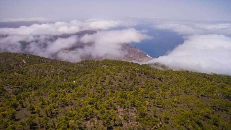 Imagen de archivo de Tamadaba (Canarias7)