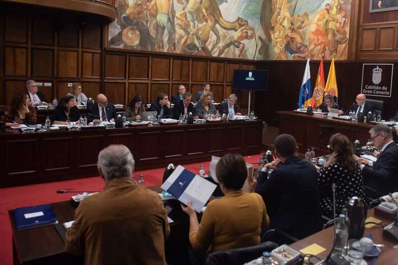 Imagen del Pleno de este viernes (Foto TA)