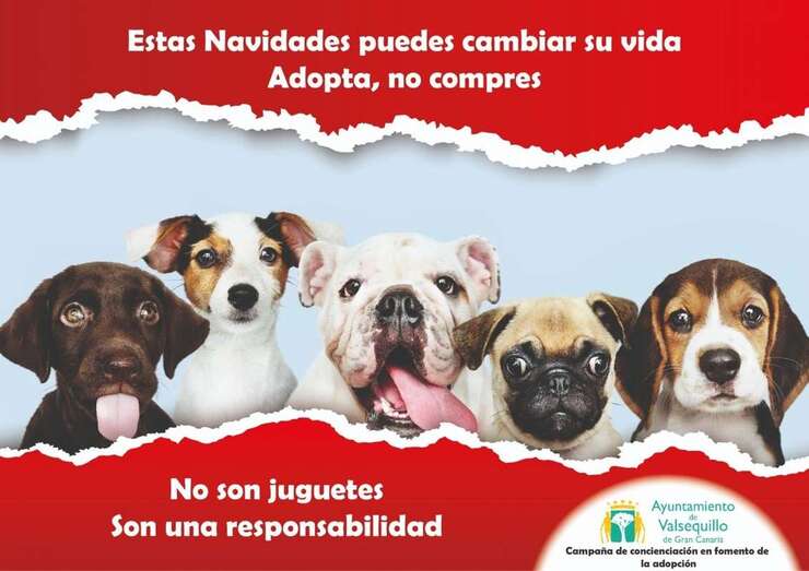 Imagen de la campaña (Foto TA)