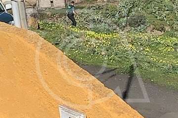  Persecución policial de 