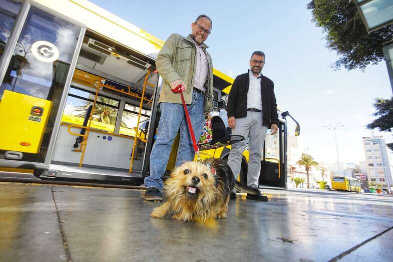 El transportín del animal debe ser consistente, ventilado, con fondo impermeable, seguro y con medidas equivalentes a un equipaje de mano (Foto TA)