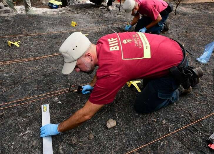 Efectivos de la Brigada de Investigación (BIIF) del Cabildo de Gran Canaria (Foto TA)