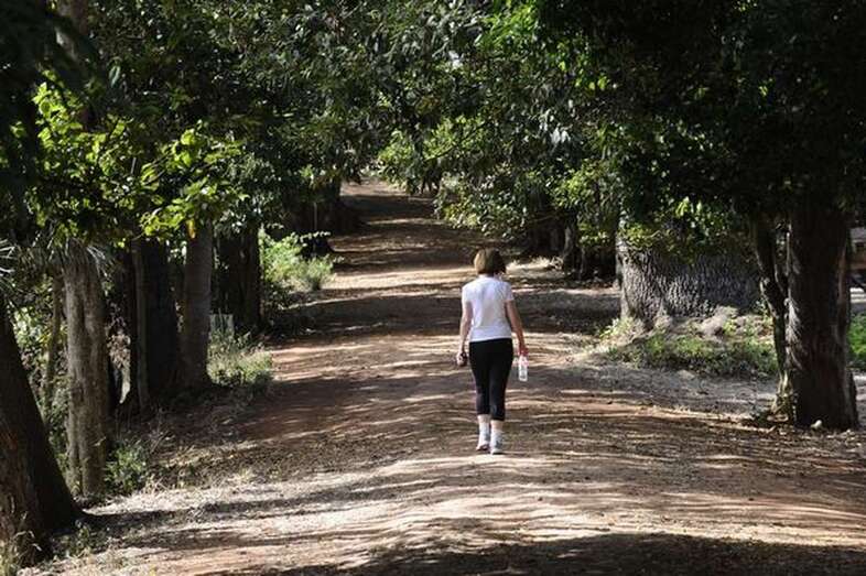Imagen de archivo de la Finca de Osorio (Foto Canarias7)