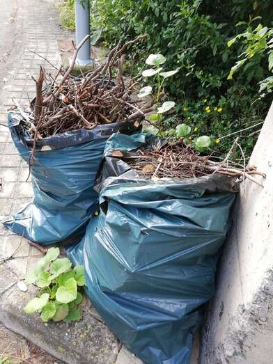 El Cabildo insta a limpiar los alrededores de las viviendas rurales (Foto TA)