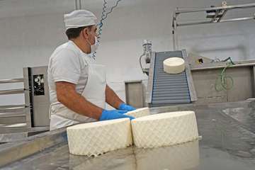  La quesería teldense Lomo Gallego agradece la campaña del Cabildo de apoyo al sector primario (Foto Acfi Press)