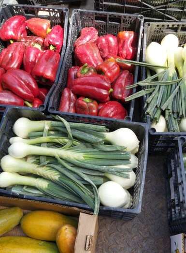 Productos del sector primario (Foto TA)