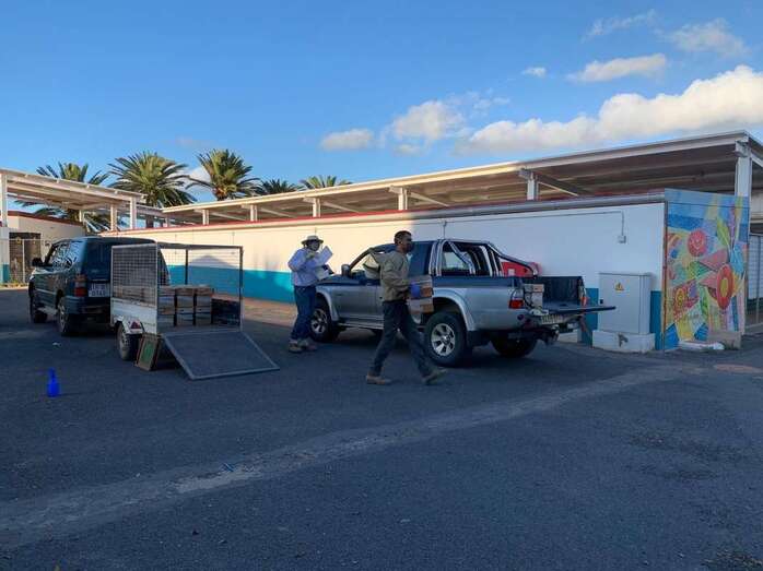 Núcleos entregados a los apicultores (Foto TA)