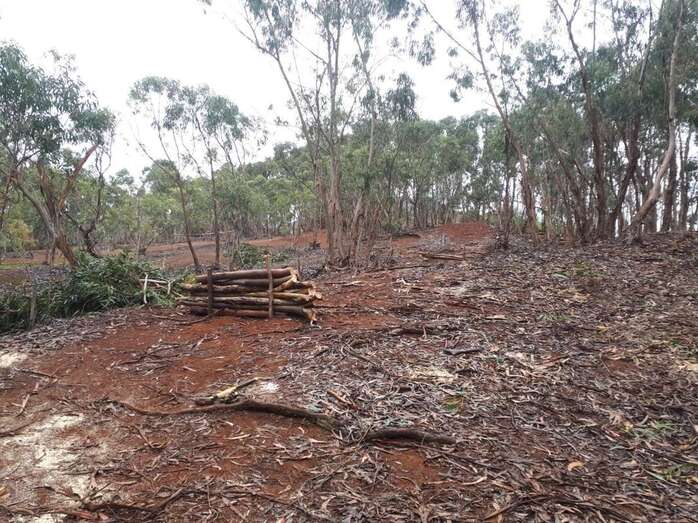 Los trabajos se desarrollaron en tres fincas privadas (Foto TA)