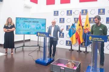 El Cabildo dedicó hoy el Día del Medio Ambiente al nuevo problema de la contaminación originada por el plástico (Foto TA)