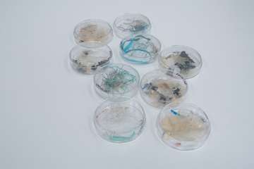 El Cabildo dedicó hoy el Día del Medio Ambiente al nuevo problema de la contaminación originada por el plástico (Foto TA)