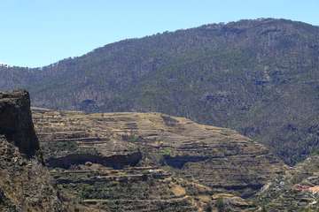 Gran Canaria inaugura la réplica de la cueva de Risco Caído (Foto Acfi Press)