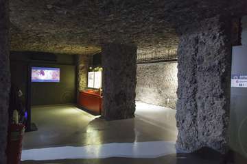 Gran Canaria inaugura la réplica de la cueva de Risco Caído (Foto Acfi Press)