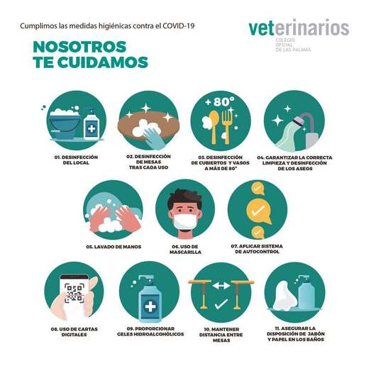 Infografía (Foto TA)