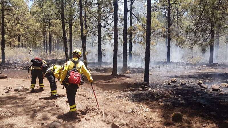 Los efectivos terrestres se centran ahora en liquidar el fuego (Foto TA)
