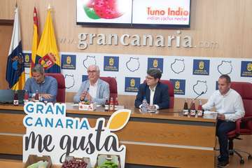 Gran Canaria lanza la marca de zumos ‘De gusto canario’, que arranca con 20.000 botellas al mes/TA