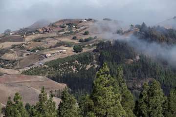 El Cabildo diseña un plan para aumentar las zonas de cortafuegos por su gran efectividad y renovará la red de cámaras de vigilancia/TA.