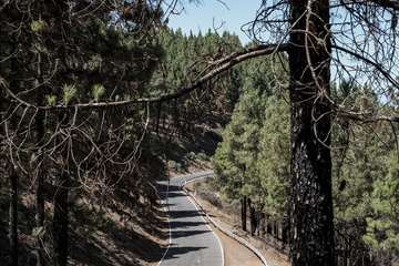 El Cabildo diseña un plan para aumentar las zonas de cortafuegos por su gran efectividad y renovará la red de cámaras de vigilancia/TA.