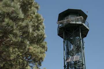 El Cabildo diseña un plan para aumentar las zonas de cortafuegos por su gran efectividad y renovará la red de cámaras de vigilancia/TA.
