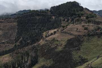 El Cabildo diseña un plan para aumentar las zonas de cortafuegos por su gran efectividad y renovará la red de cámaras de vigilancia/TA.