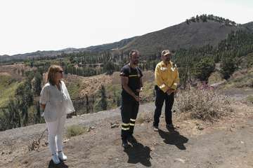 El Cabildo diseña un plan para aumentar las zonas de cortafuegos por su gran efectividad y renovará la red de cámaras de vigilancia/TA.