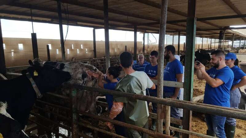 Escuela de Ganadería y Pastoreo del Cabildo grancanario/TA.