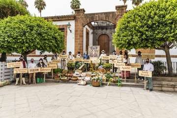 Telde, en la más atípica de las ofrendas a la Virgen del Pino que se haya celebrado en Teror/TA.