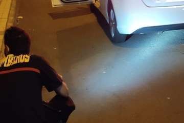  Una gata pare en el interior del parachoques trasero de un vehículo/Policía Local de LPGC.