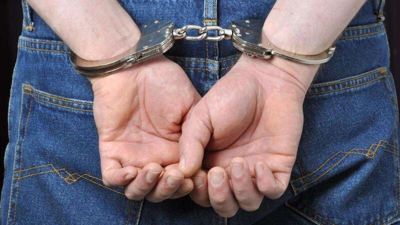 El Seprona incautó 241 animales que ya han sido realojados en protectoras y entidades colaboradoras/TA.