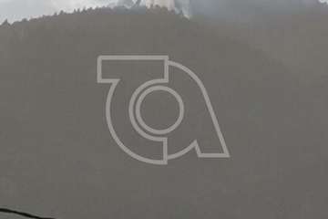 Conato de incendio en el Pinar de Botija (Valsequillo)/TA.