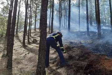 Conato de incendio en el Pinar de Botija (Valsequillo)/TA.