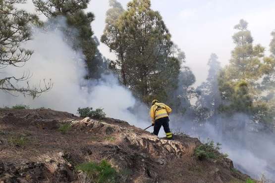Conato de incendio en el Pinar de Botija (Valsequillo)/TA.