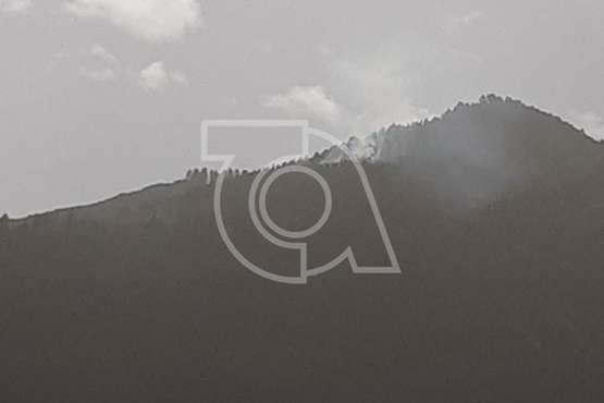 Conato de incendio en el Pinar de Botija (Valsequillo)/TA.