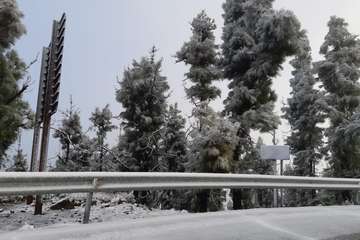 La cumbre de Gran Canaria teñida de blanco/TA.