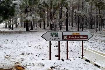 La cumbre de Gran Canaria teñida de blanco/TA.