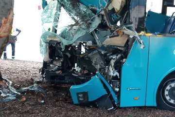 Una guagua de Global, fuera de servicio, se empotra contra un árbol/TA.