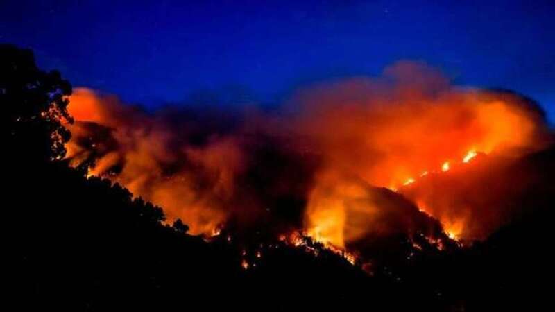 Imagen de archivo de un incendio forestal en la cumbre de Gran Canaria/TA.