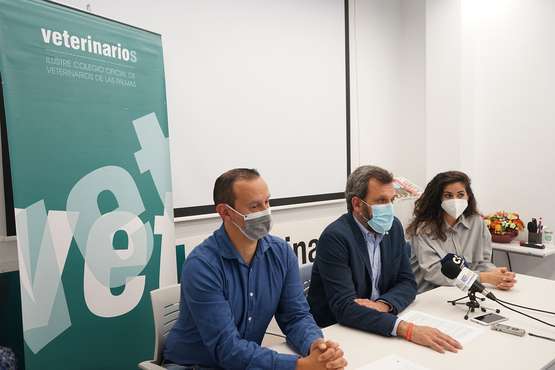 El Colegio Oficial de Veterinarios respalda a sus profesionales/TA y Acfi Press.