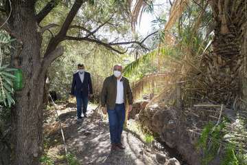 El Cabildo desbrozará el Valle de San Roque (Telde) para prevenir incendios/TA.