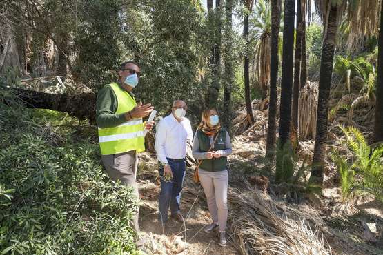 El Cabildo desbrozará el Valle de San Roque (Telde) para prevenir incendios/TA.