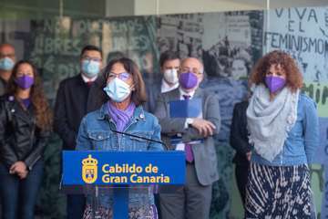 El Cabildo impulsará medidas para que la igualdad sea un pilar de la recuperación en Gran Canaria/TA.