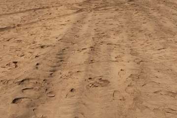 Centenares de peces aparecen muertos en Maspalomas y Playa del Inglés/TA.