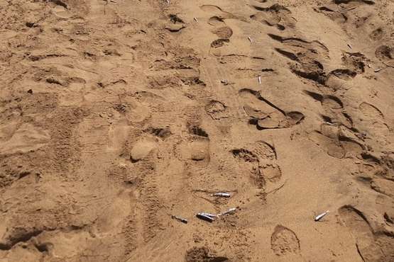 Centenares de peces aparecen muertos en Maspalomas y Playa del Inglés/TA.