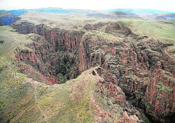 Terrenos de Amurga/C7.